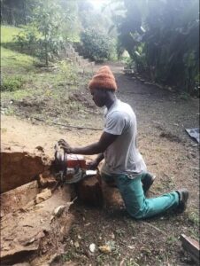 Pro Tree Felling Cape Town Pro Tree Felling