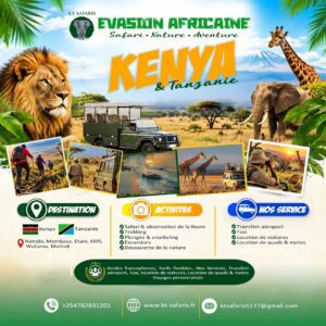 KT & Safaris